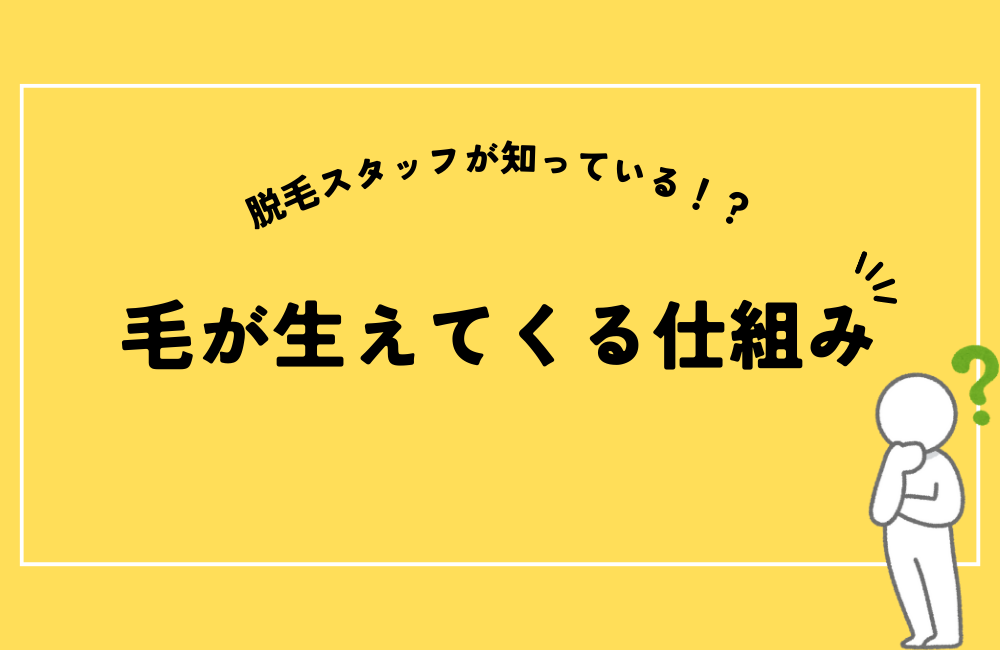 毛が生えてくる仕組み